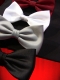 BOW TIE