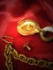 FASTENER CAPE LION