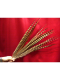 PLUMES D AUTRUCHE CABARET ou de FAISAN