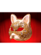 MASCHERA GATTO MACRAME E STRASS