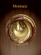 GOLDEN OLD COIN ON CLIP