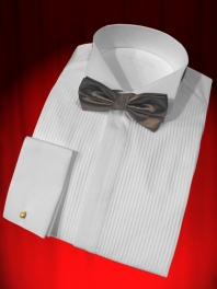 SHIRT WITH PLEATED FRONT