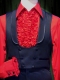 CAMISA LATINO COM JABOT