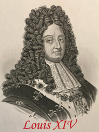 WIG LOUIS XIV