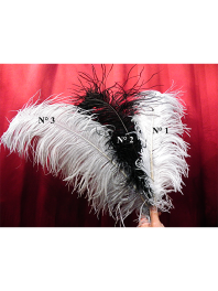 FEATHERS CABARET of OSTRICH OR PHEASANT