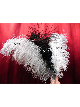 PLUMAS CABARET de AVESTRUZ OU de FAISAO