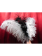 PLUMES D AUTRUCHE CABARET ou de FAISAN