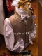 GILET COSTUME ou VESTE SANS MANCHE "BELLE EPOQUE 1900" - VICTORIENNE ou WESTERN